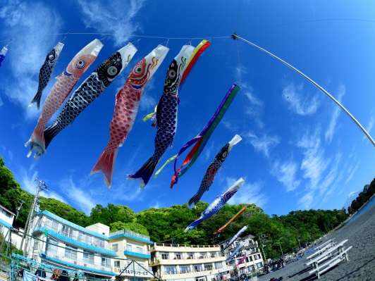 ��̂ڂ�̕��i�ł�