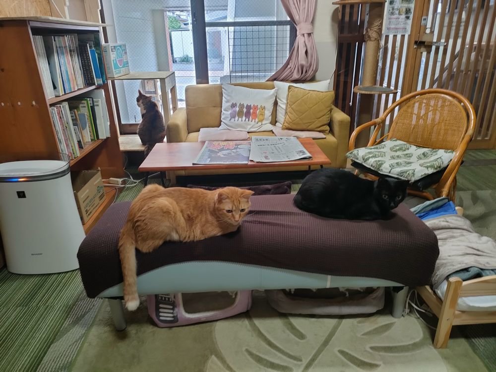 �L������1�K���r�[�ł��낢�ł��邱�Ƃ������ł��B