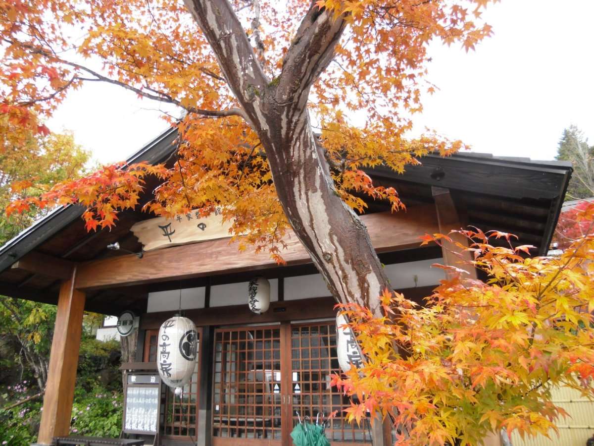 紅葉は年によって異なりますが、例年10月20日頃から11月中旬頃までです。
