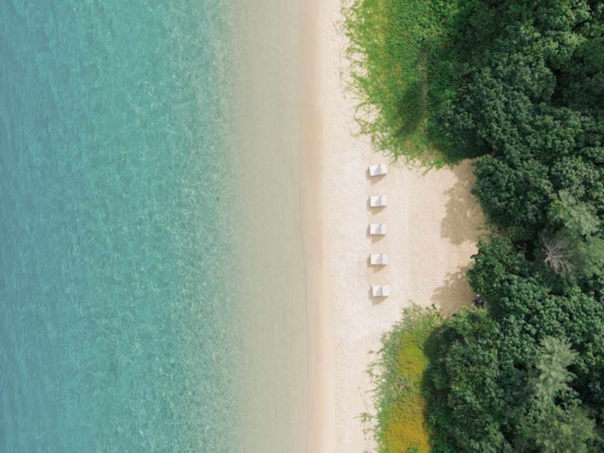 �������ɍL����̃O���f�[�V�����Ɣ����̃R���g���X�g�ɐS�D����V�R�r�[�`