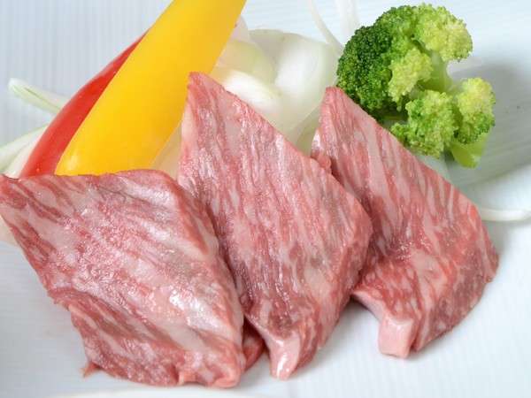 `SN̓ߐ{јaIn̐Hނ𒆐SƂ{̂v\I