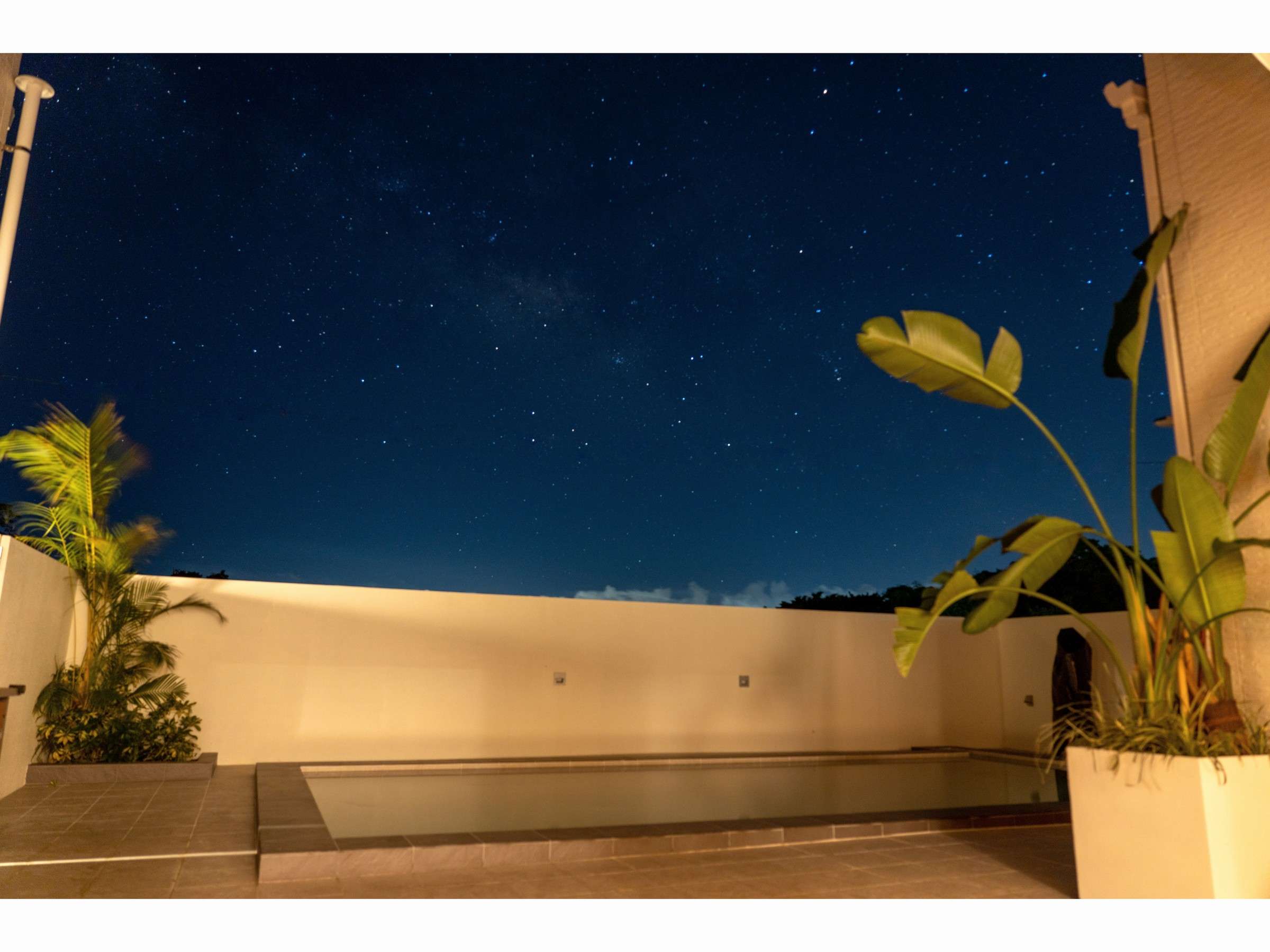 �e���X����̖��