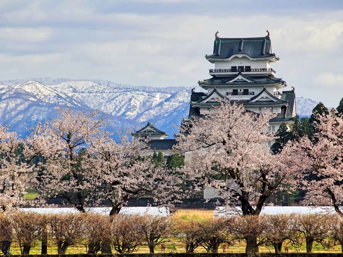 ��R��w�ɏt��������ۉ���