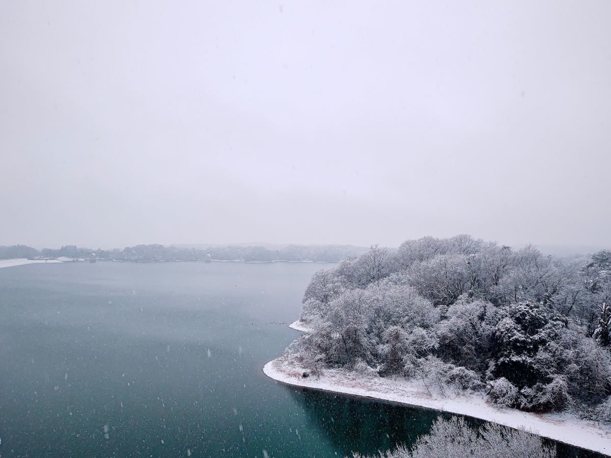 �ŏ�K�y���X�g���� �V�O�V�z����̒��]�B�����΂̓~�i�F�B