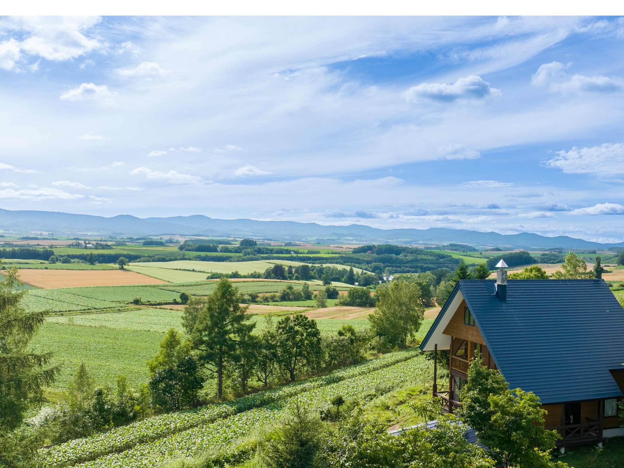 ���l�̔������i�F����]�ł���D���n�ł�