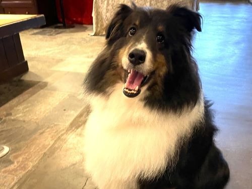 �Ŕ��u�J�i���v�����o�}�����܂�