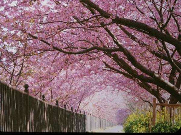 �͒Í��̃g���l����������ƍK����