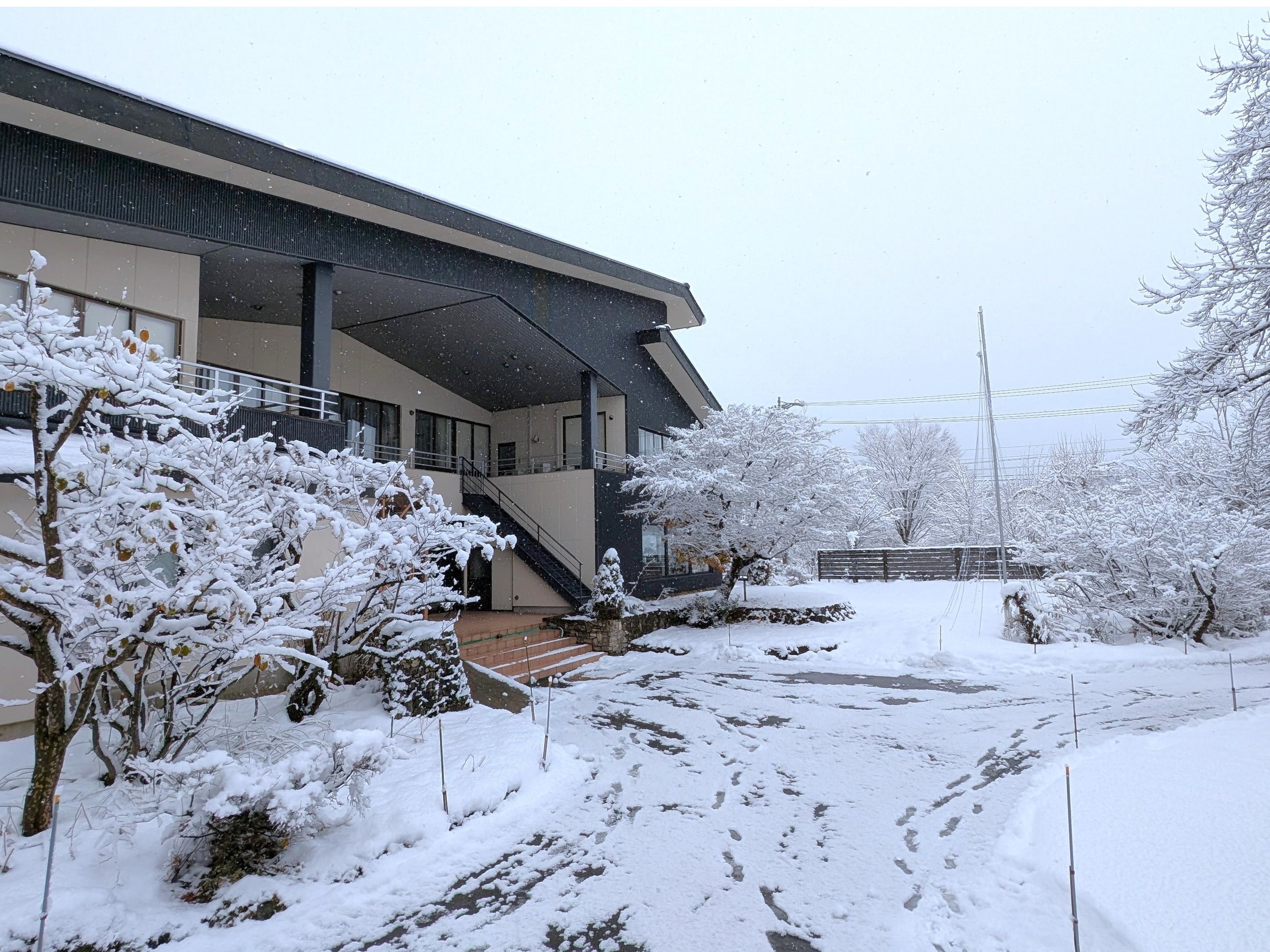 �~�̃z�e���O��