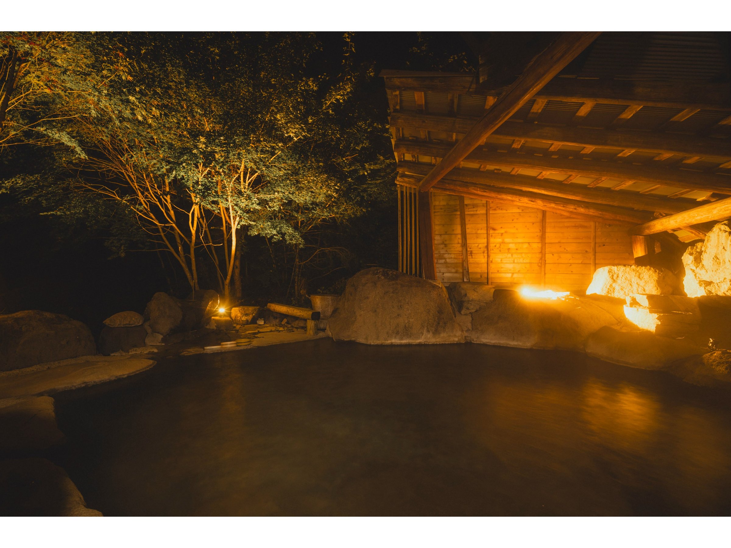 ̎̓BÂ̒œނƓ肪h炮zIȎԂB