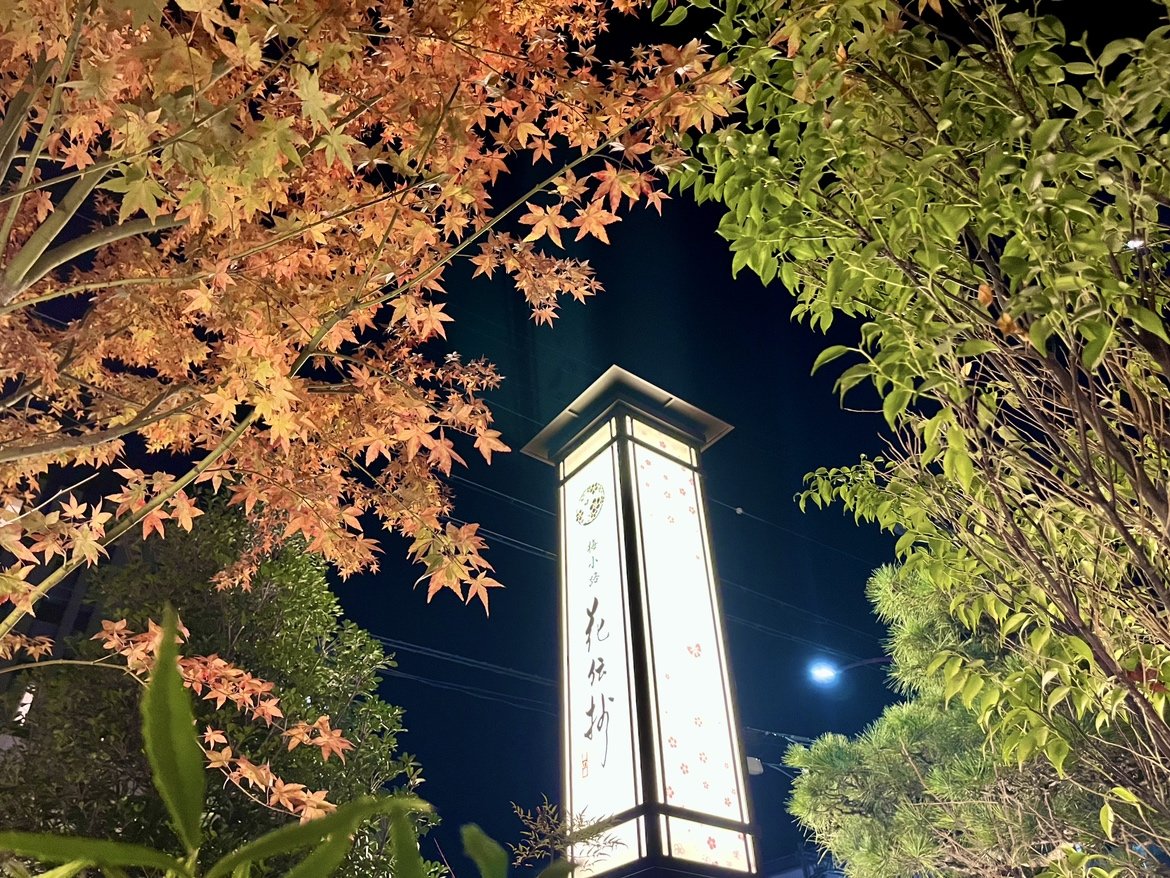 yOρzHɂ͍gtƖ̃RgXgfGłB