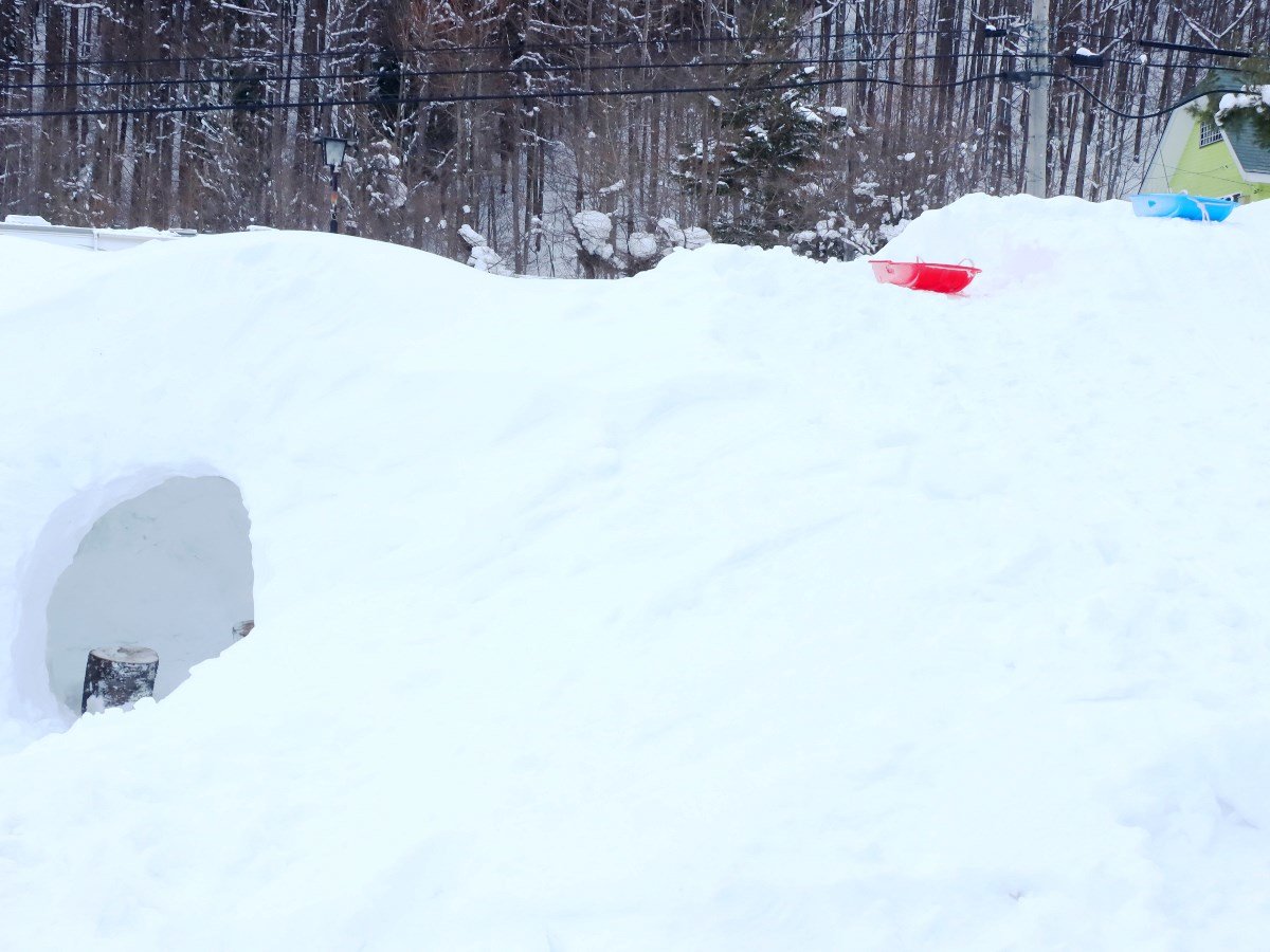 ��V�с����܂��灕�\���V��