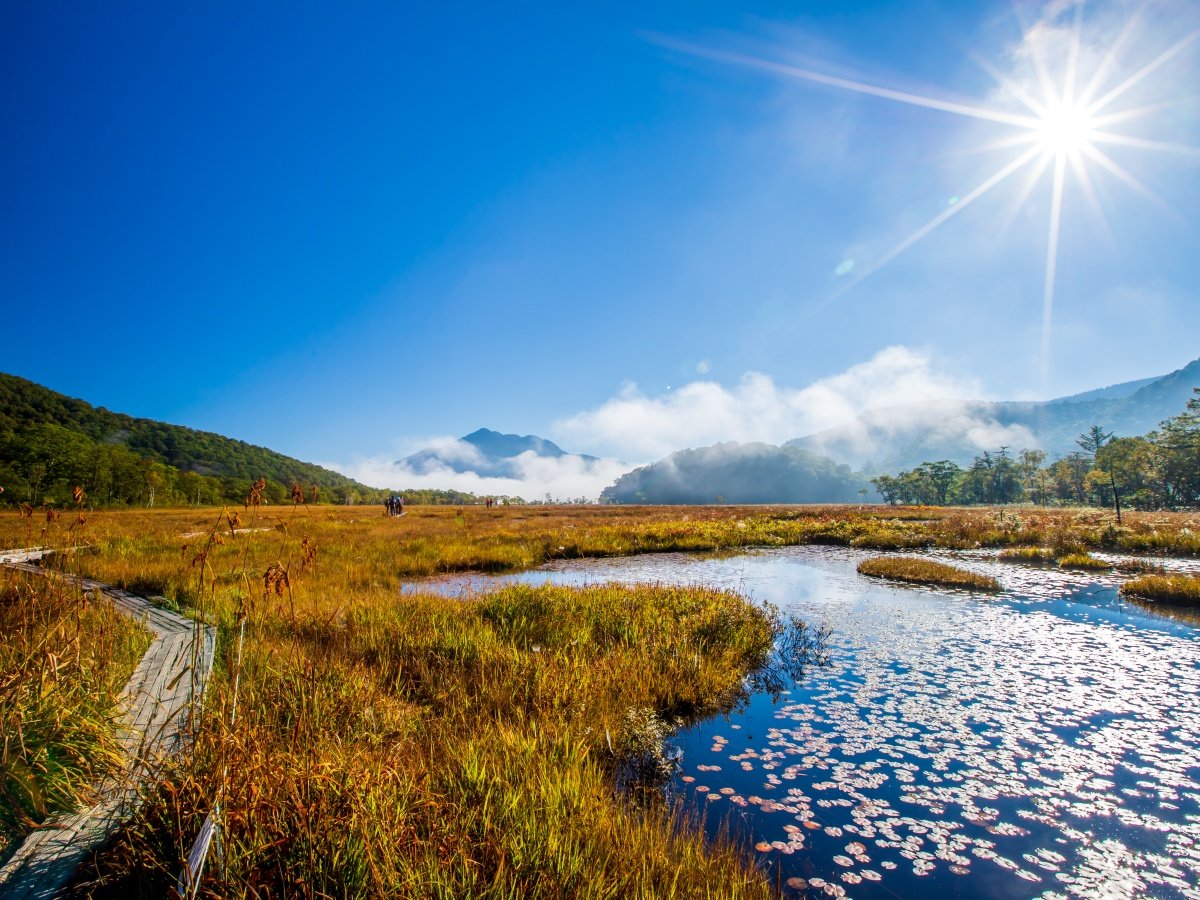 �H�̔����g���b�L���O�͍g�t���ō��ɃL���C�ł�