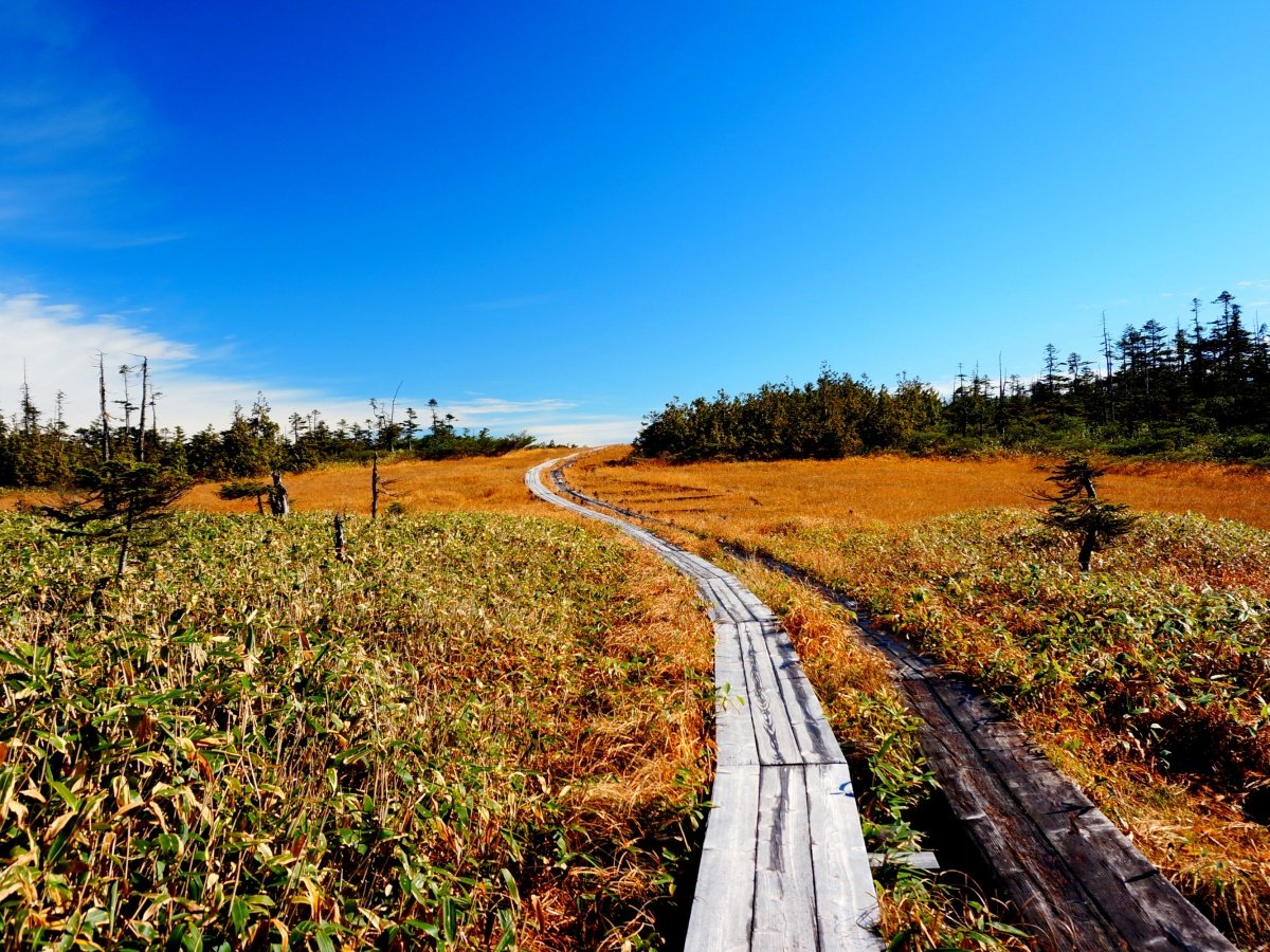 �����i�A�������j�̍g�t�̒����g���b�L���O���܂���