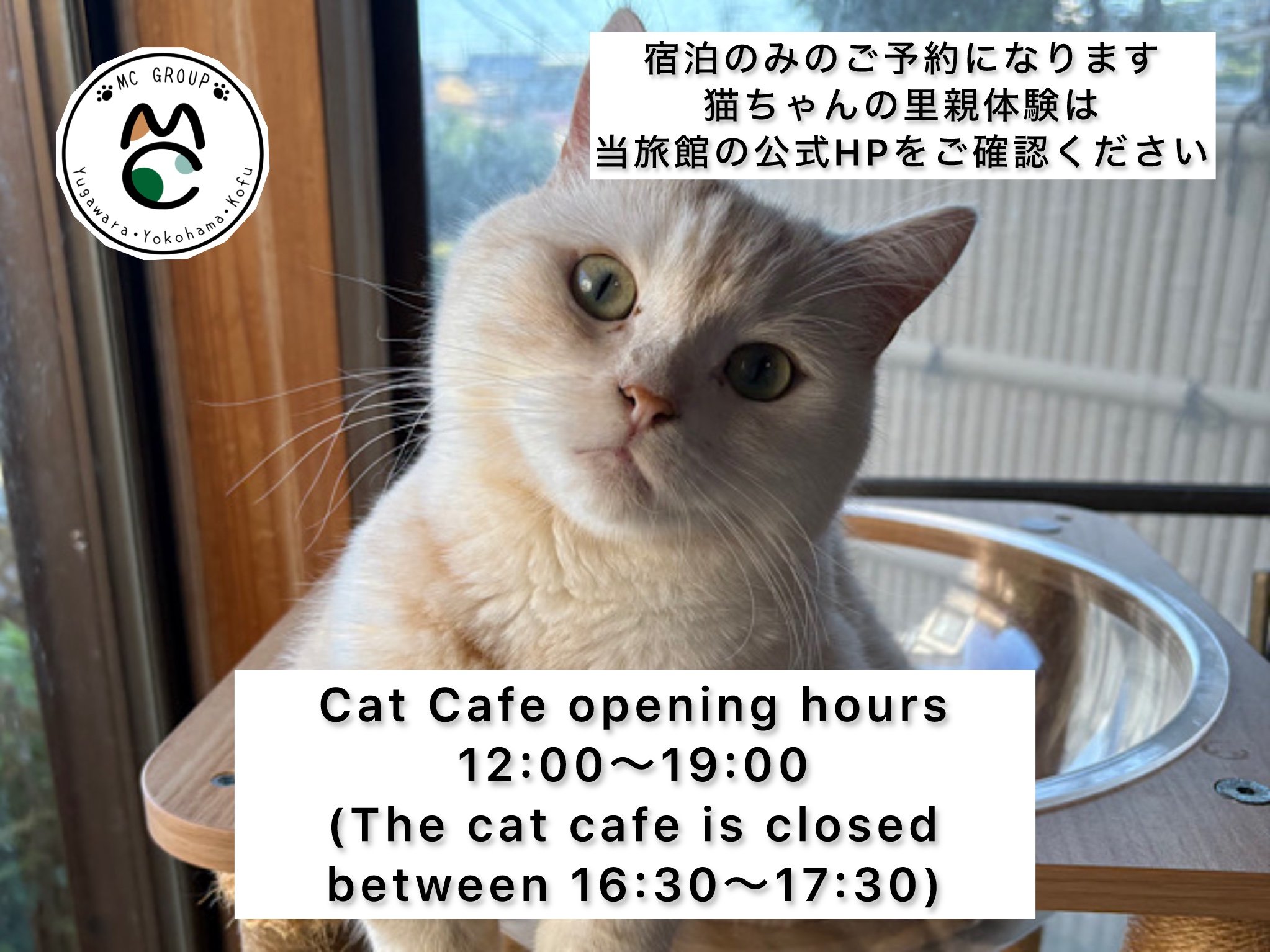 �L�J�t�F�ł͉����L�����B�ɏo��܂��B