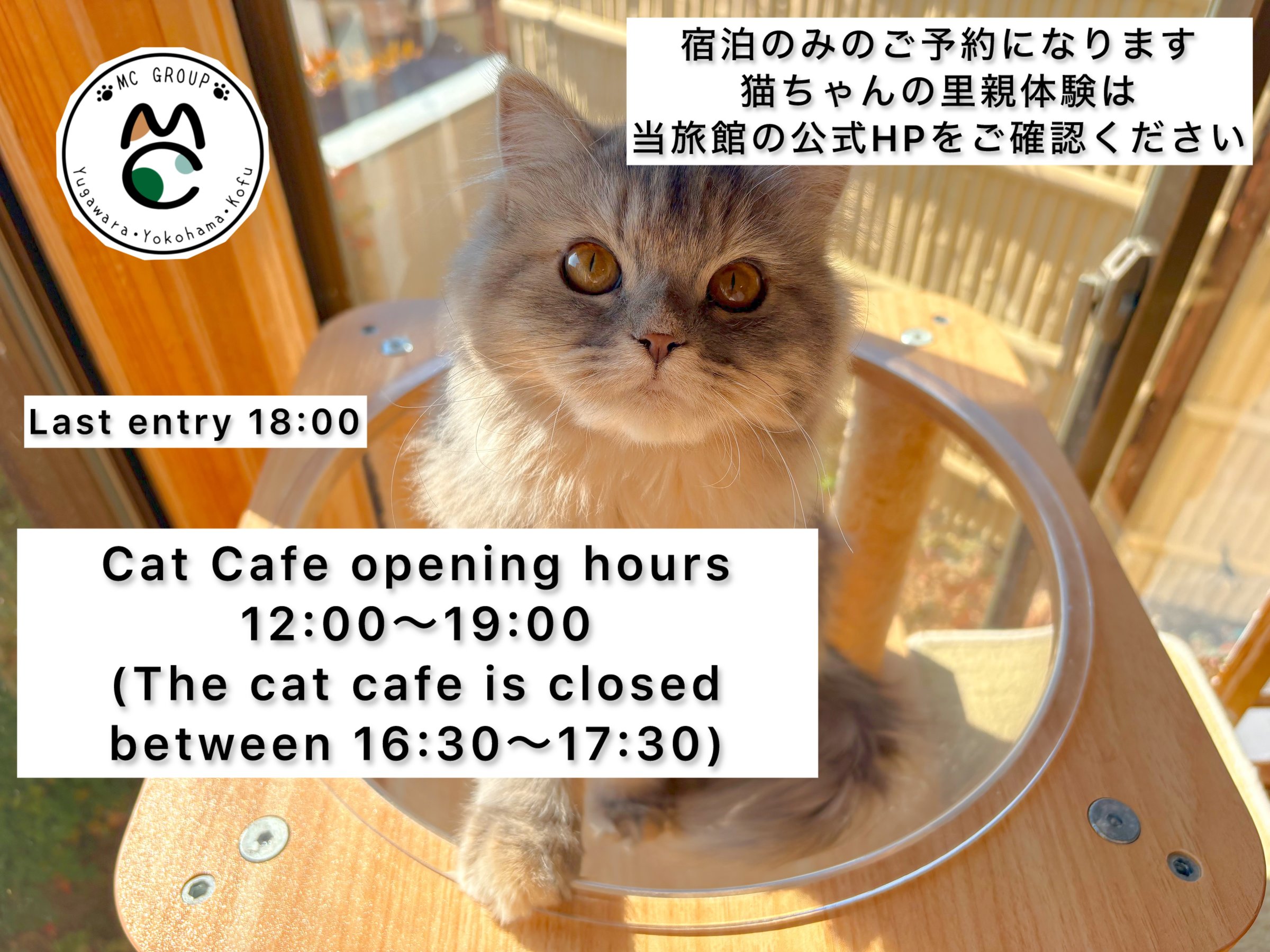 �L�J�t�F�ł͉����L�����B�ɏo��܂��B�c�Ǝ���:12��-�ŏI���X18��(16:30-17:30�͓��X�ł��܂���)