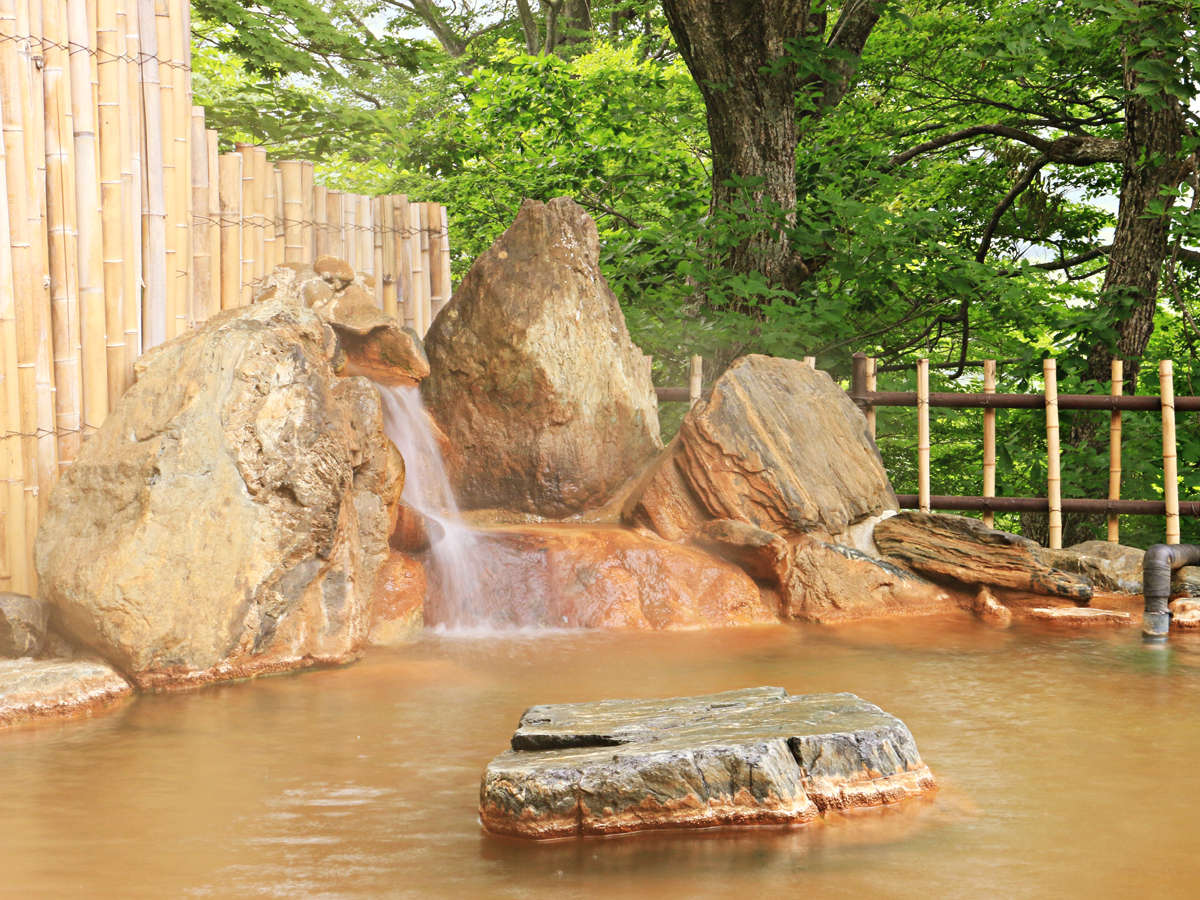 #�y��I�V���C�@�j���z���ƌ���100���̂��������̓�������