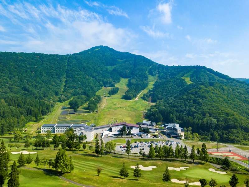 ���O���[���V�[�Y���@�L���Ȏ��R�Ɉ͂܂ꂽ�^���O����