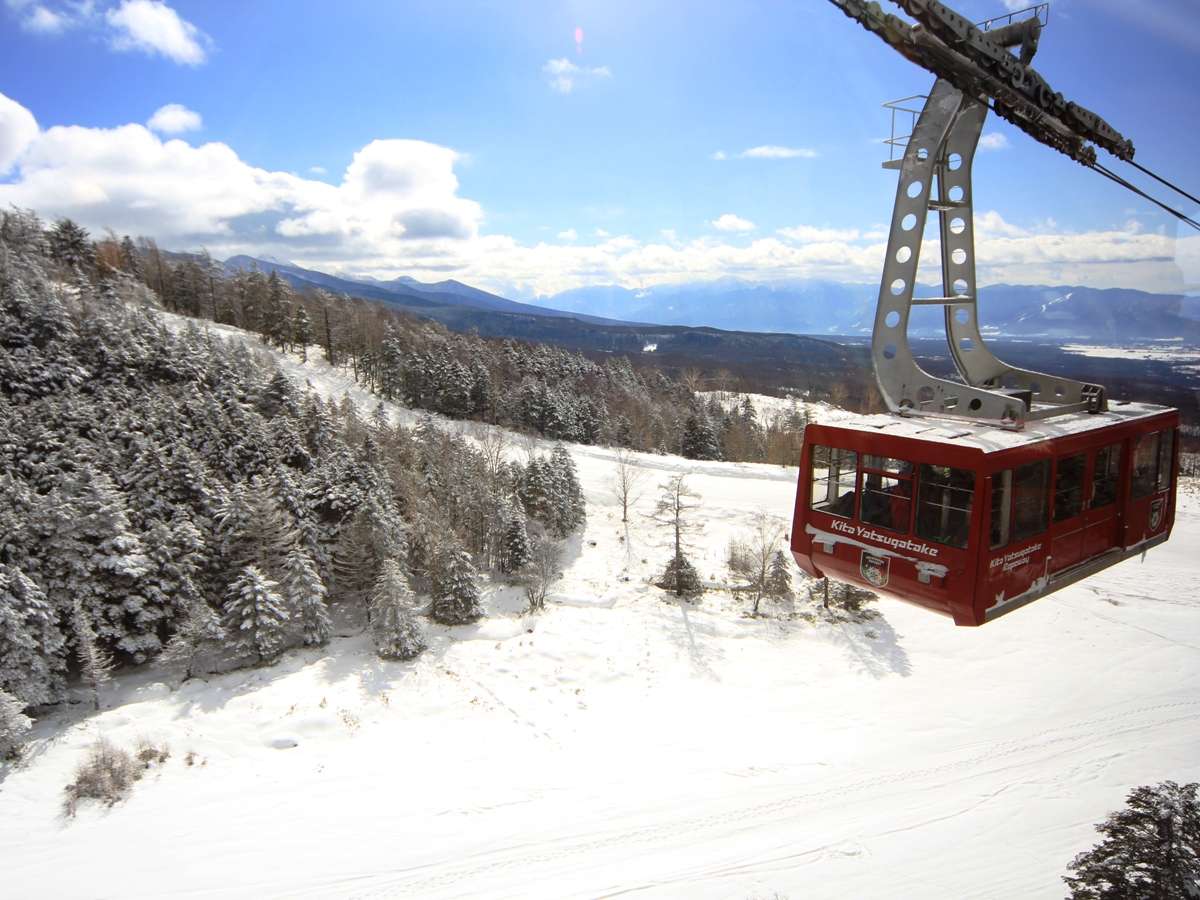 �k�����x���[�v�E�F�C����̒��߁B���]���Q�����������̃p�E�_�[�X�m�[���҂��Ă܂��I