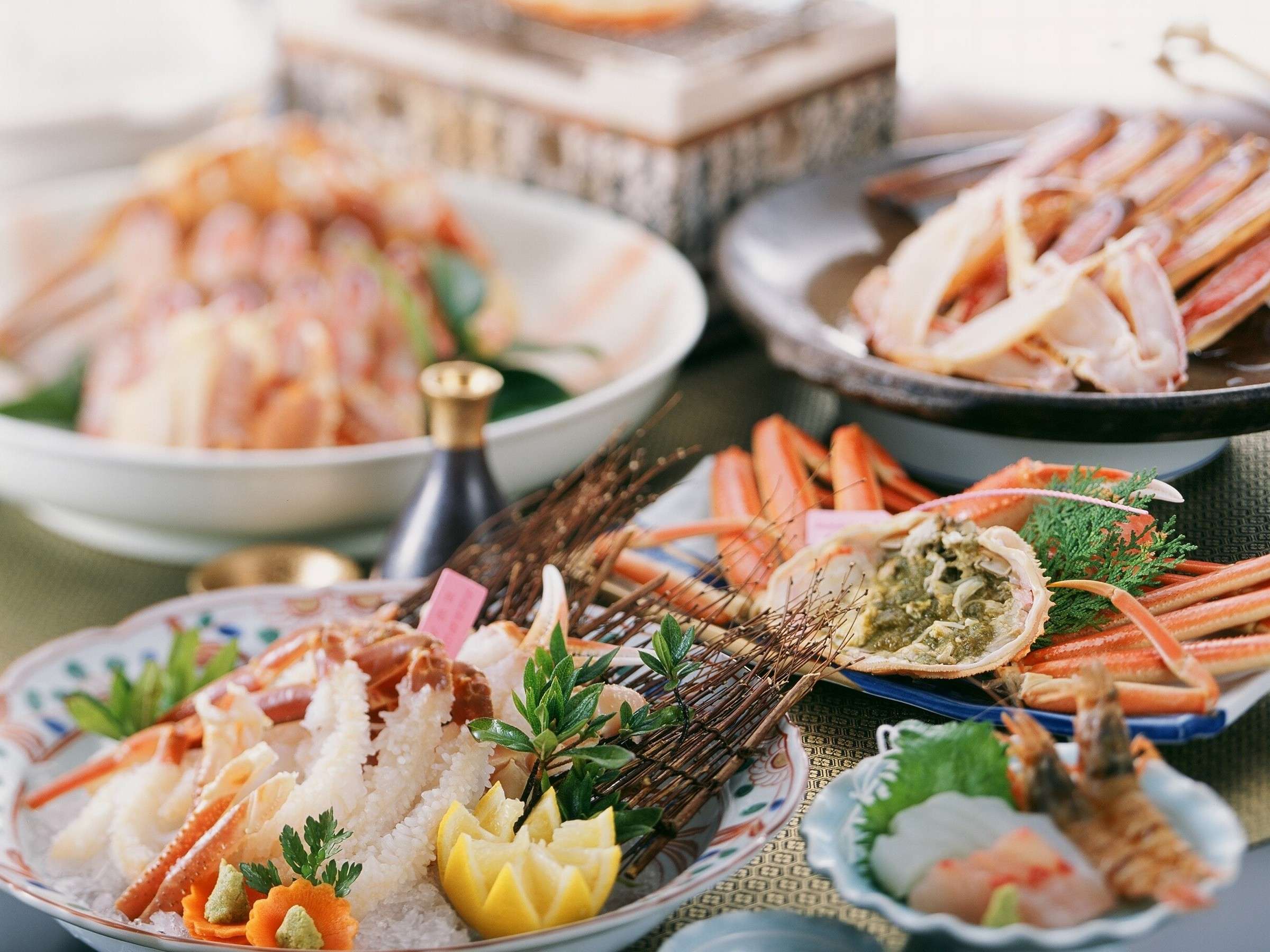 �~�̂��ɃR�[�X�̈��