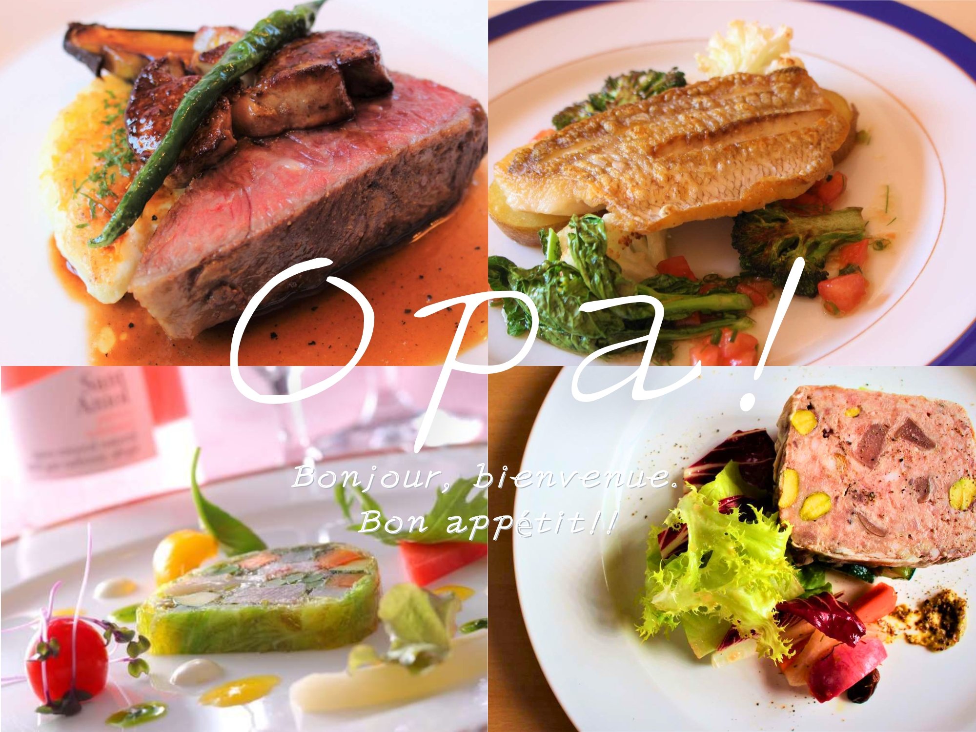 ��[���t�����`�̉B��Ƃւ悤�����I