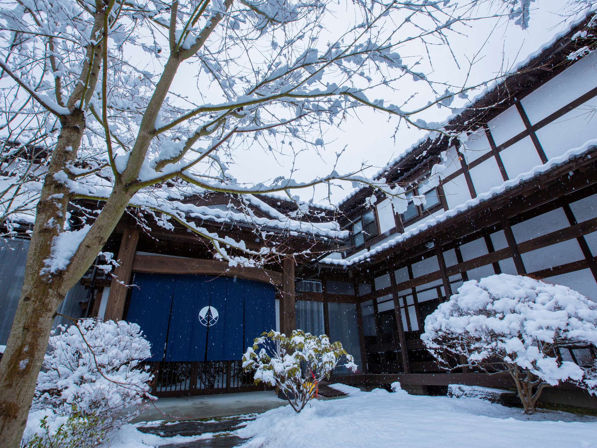 ��̃G���g�����X