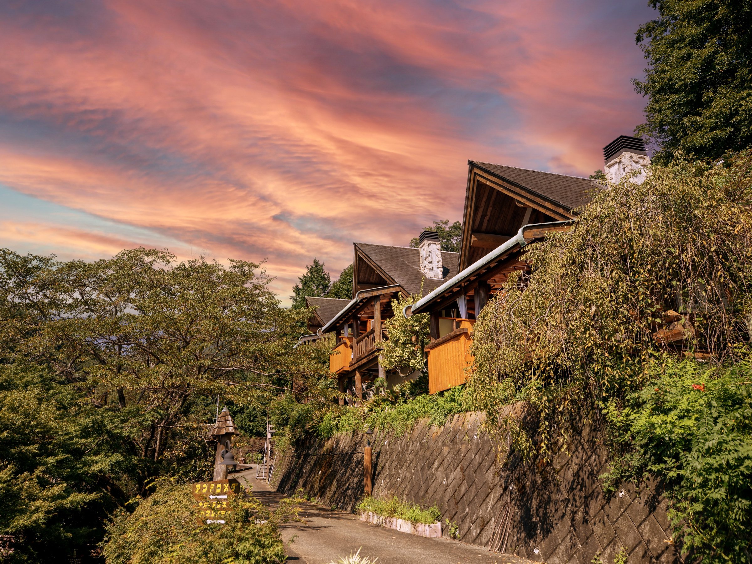 �[���̕��i