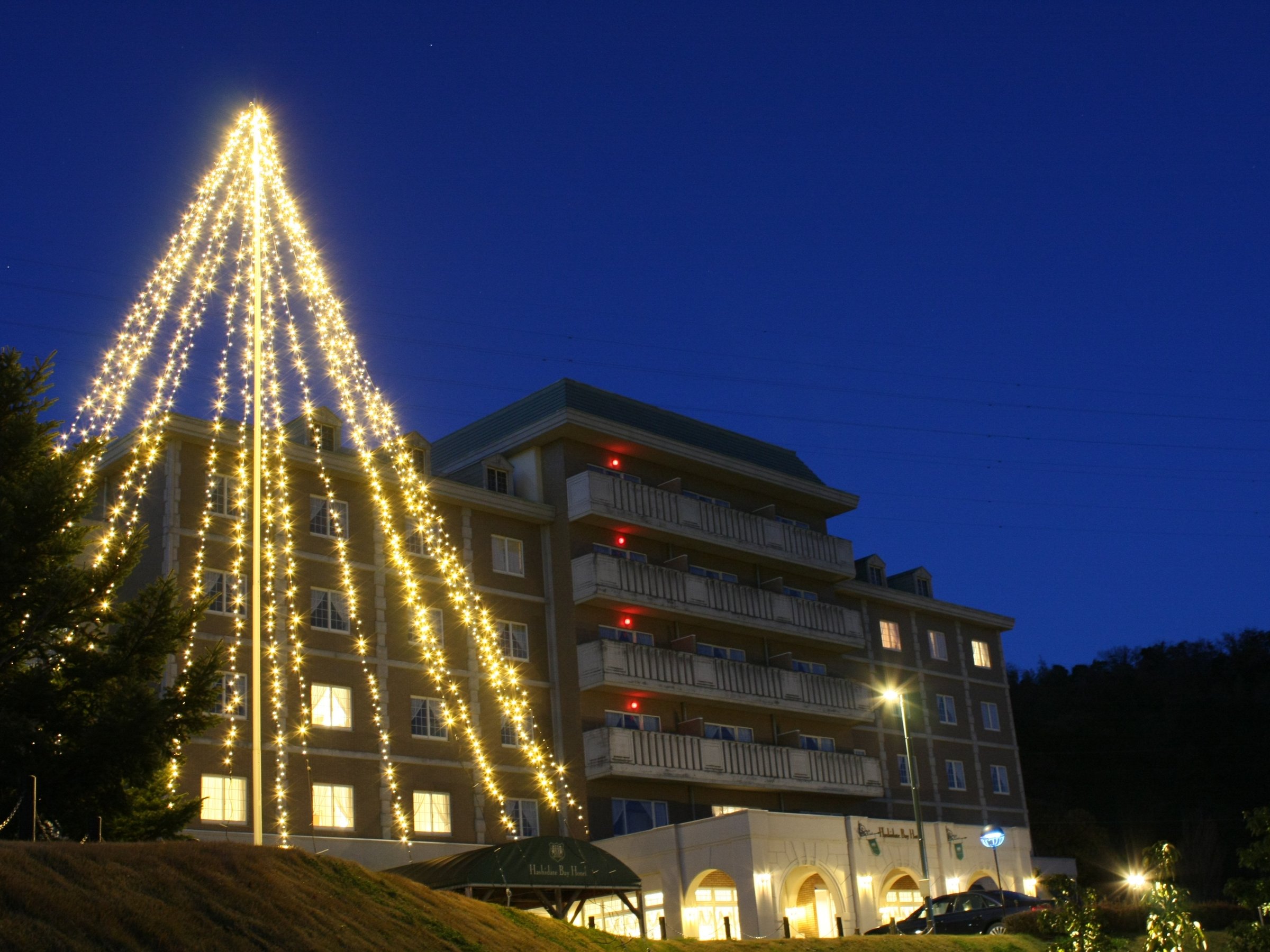 �N���X�}�X�C���~�l�[�V�����c���[�����o�}����