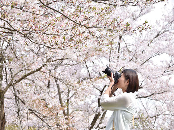 �t�̍������@�C�̋��s�u�O��E�V�����v�ց�