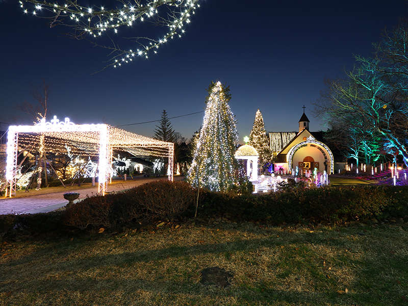 �C���X�^�f�����ߐ{�G���A�ő勉�I30�����̃T���o���[�C���~�l�[�V������