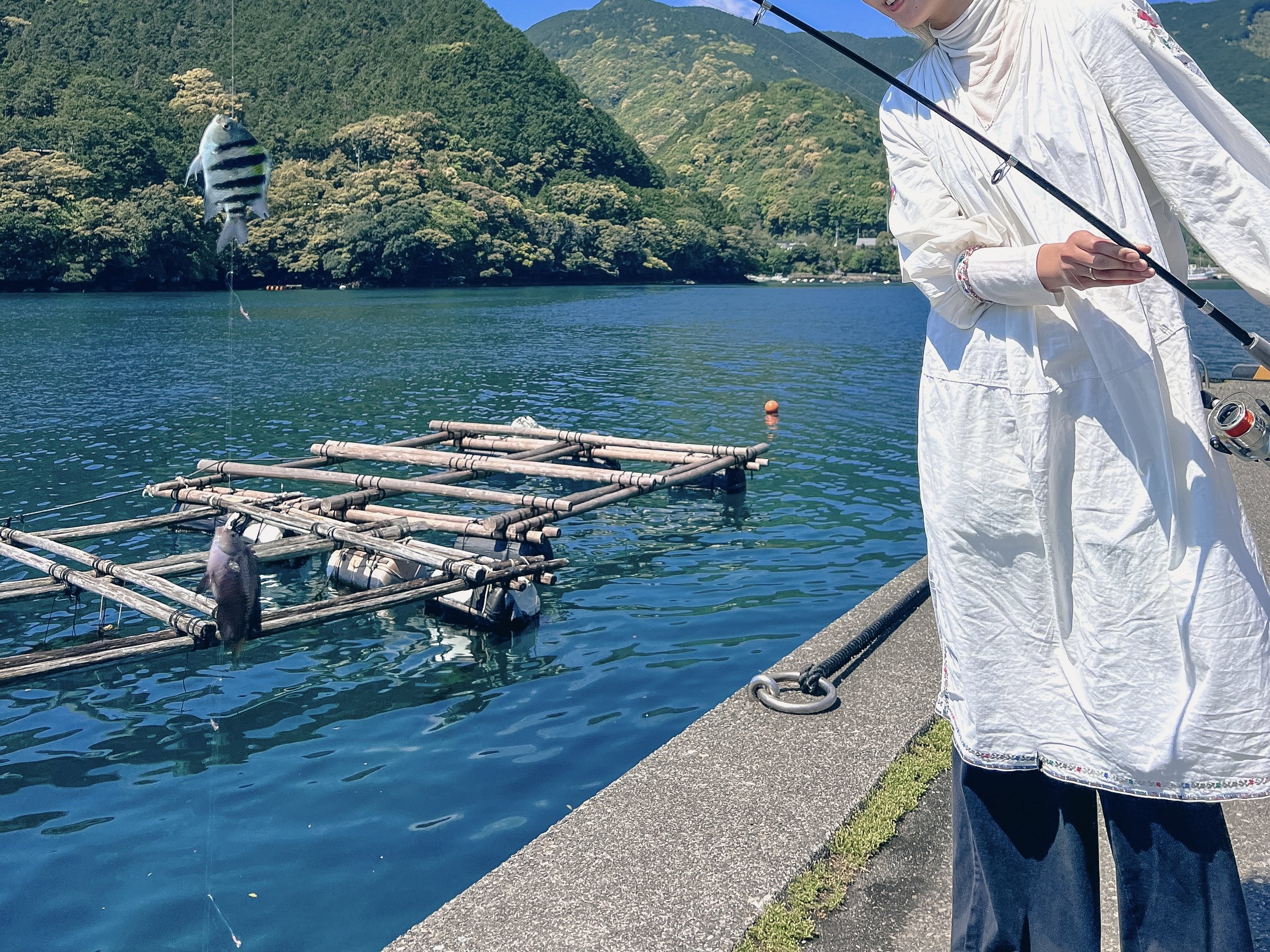 ��Ԃ�ŊC�ނ�B�ނ������͈͘F���ł��̂܂ܖ��키�ґ�̌��B