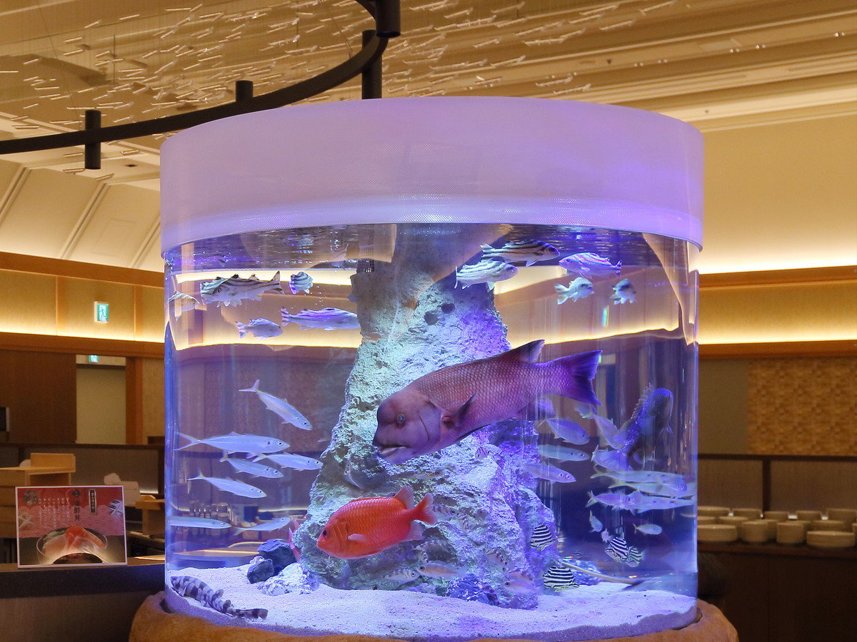 yoCLOXgSeedsző260Ȏe