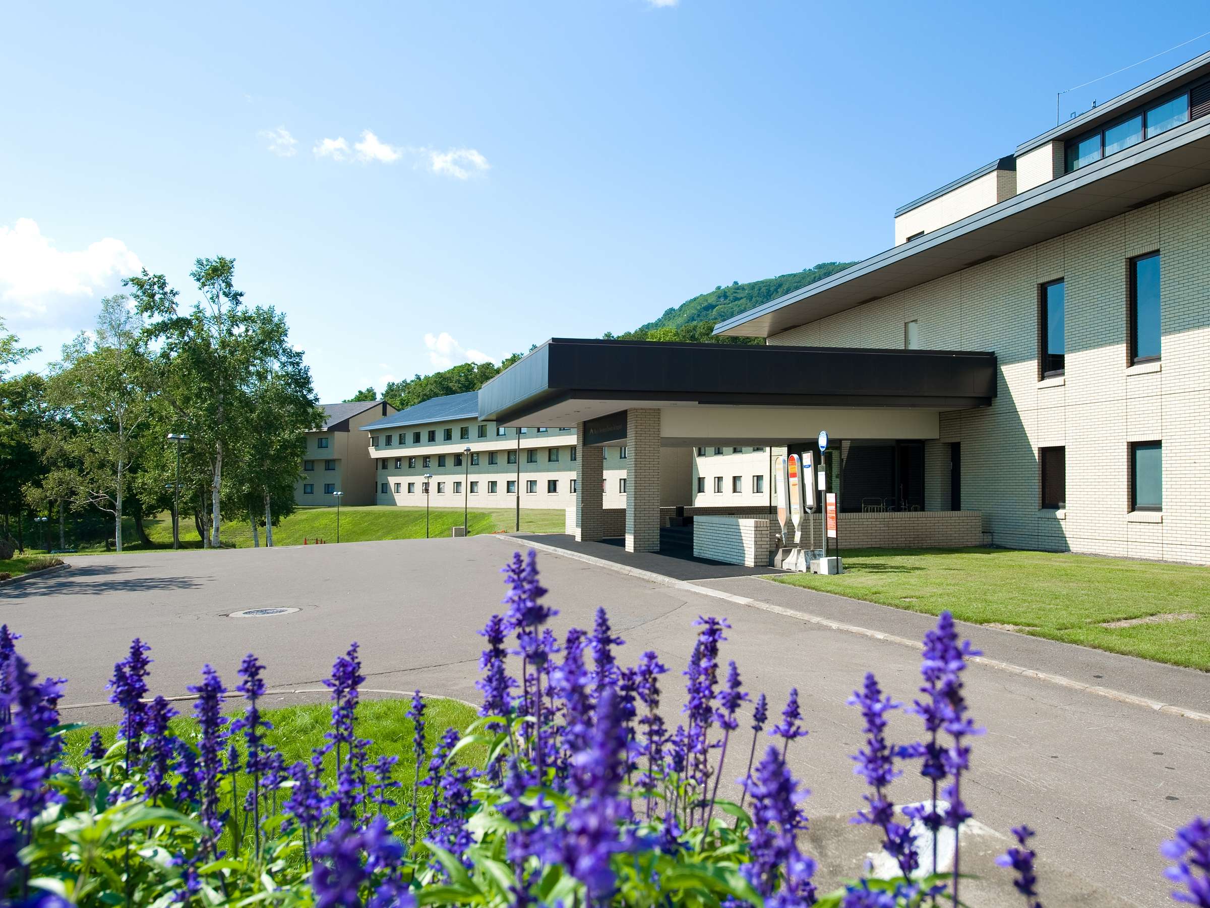 ���厩�R�ɕ����ꂽ�j�Z�R�̃��]�[�g�z�e��