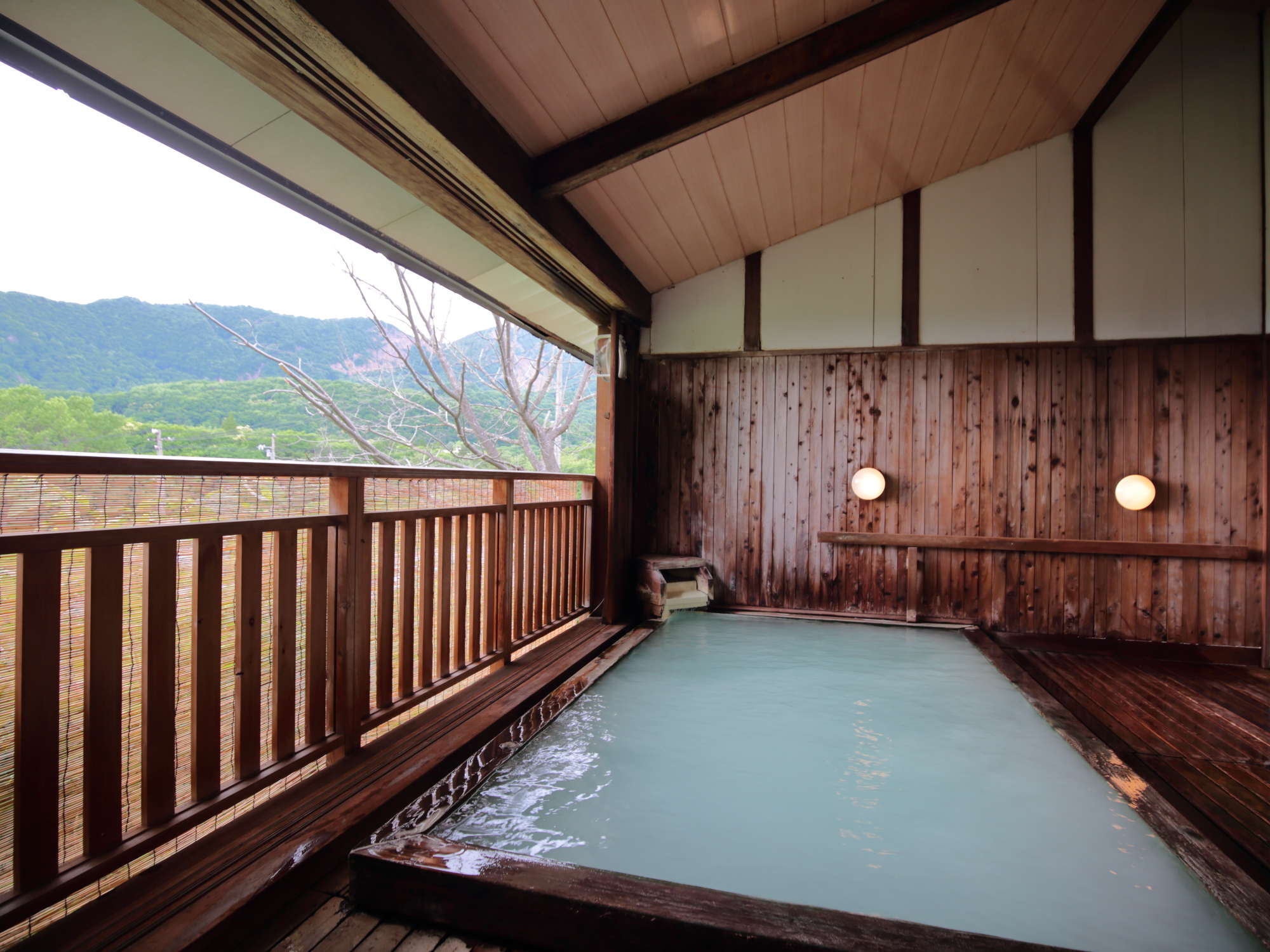 �y���q���򒭖]���C�z���ƌ�����C���˂Ȃ��ґ�Ɋ|�������B�S���g�̂��ۂ����ۂ�