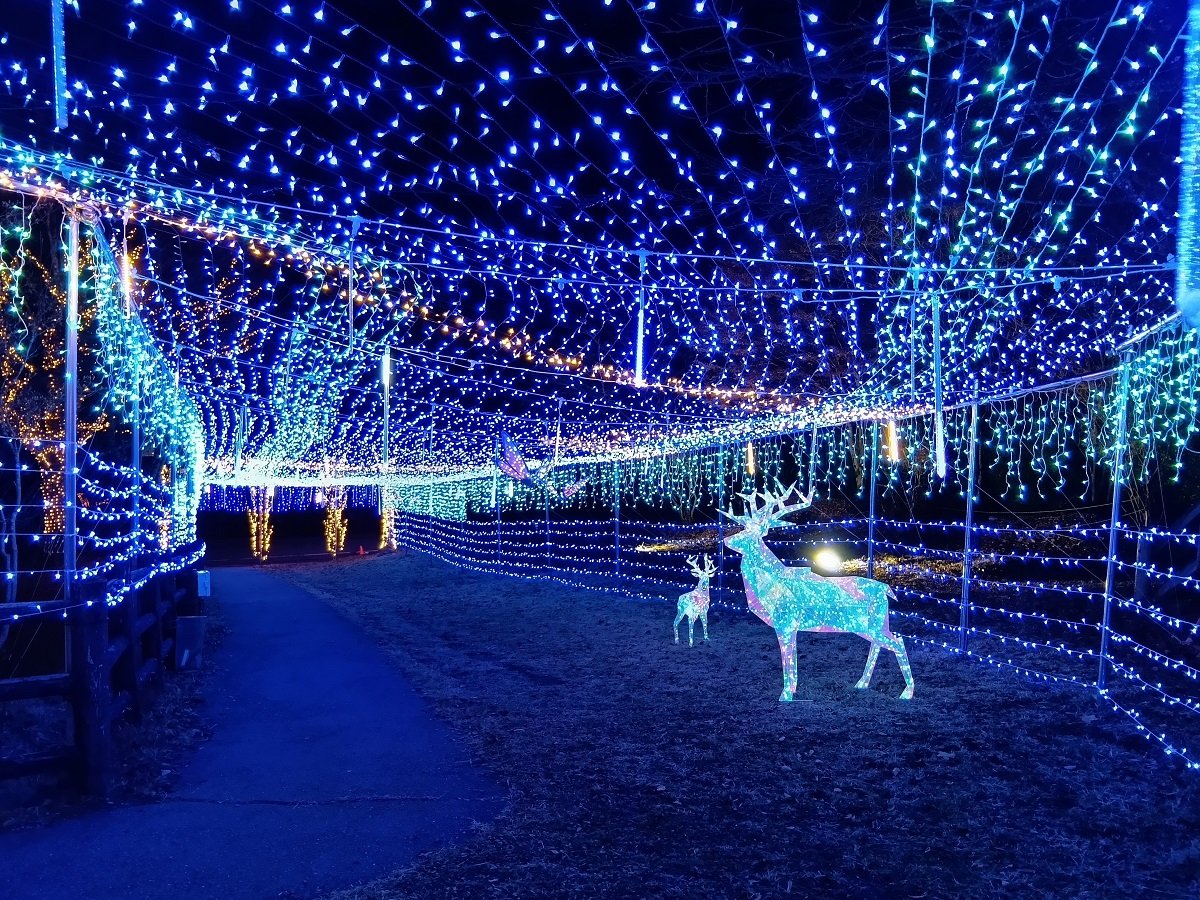 ���C���~�l�[�V����2026�N3��1��(��)�܂ŊJ�Á����h���̕��͓��ꖳ���I