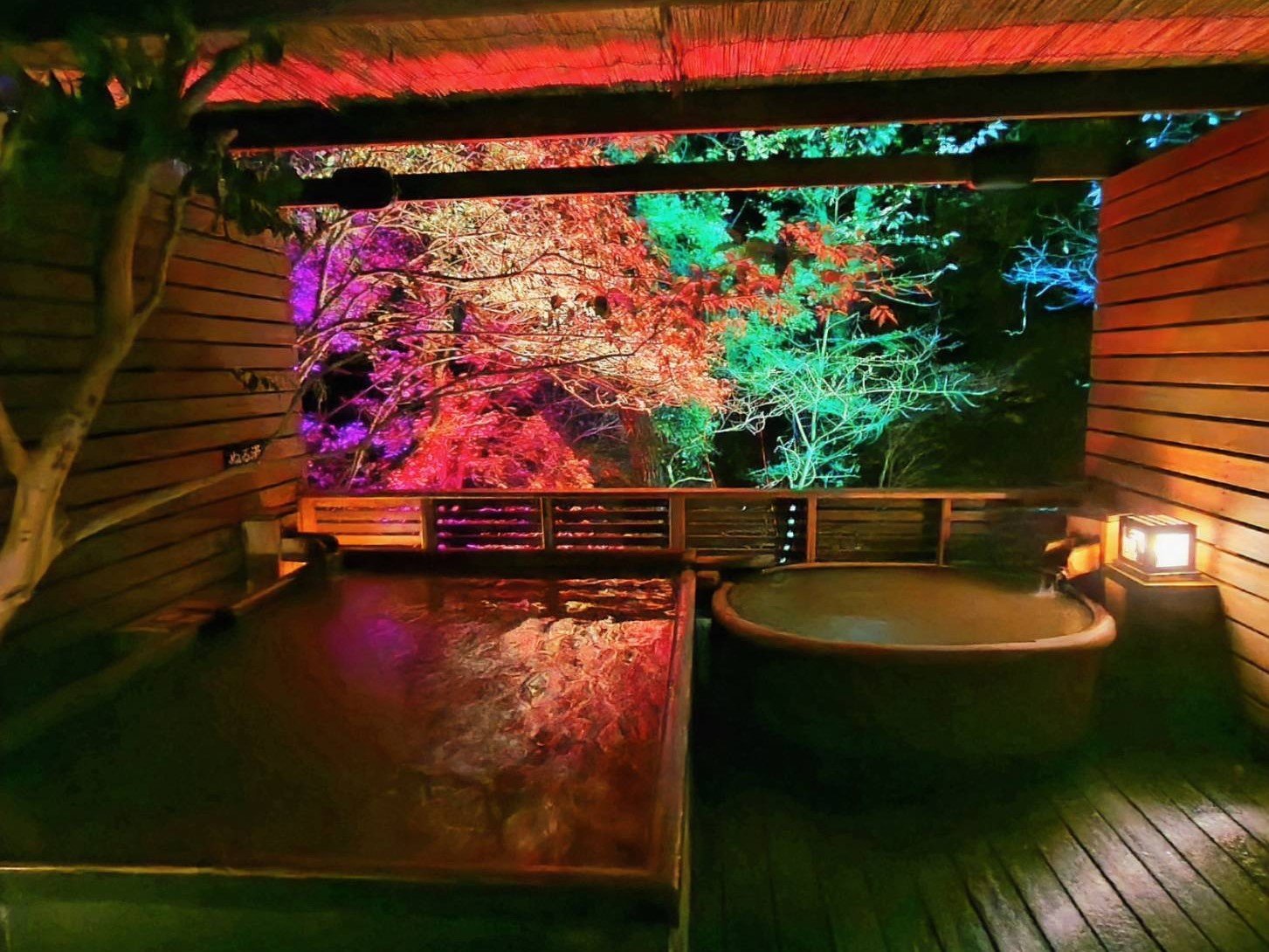 ���̎R����G���A�@�L�̗��`�C���~�l�[�V�����`