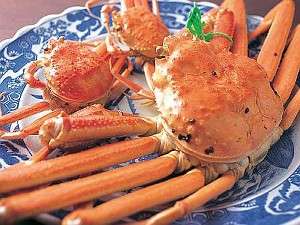 ~̖o▭ȉ䥂ŏグĝ܂tɂƂ