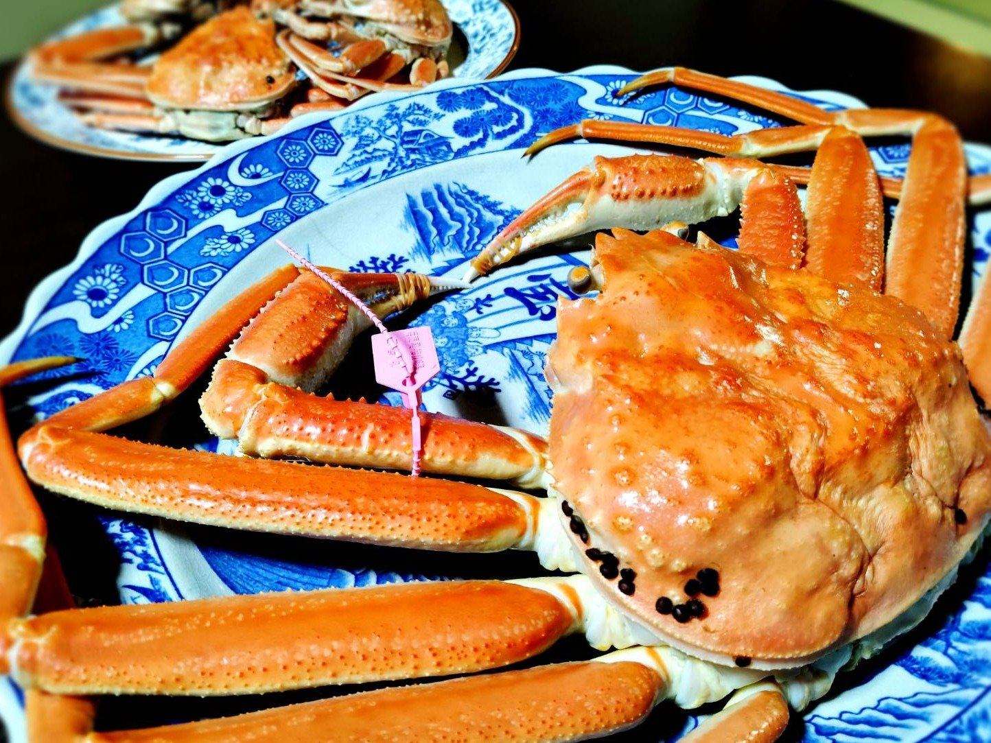 �􉖉����▭��䥂ŏ��t���Ɂ�䥂ł������Ɂ�