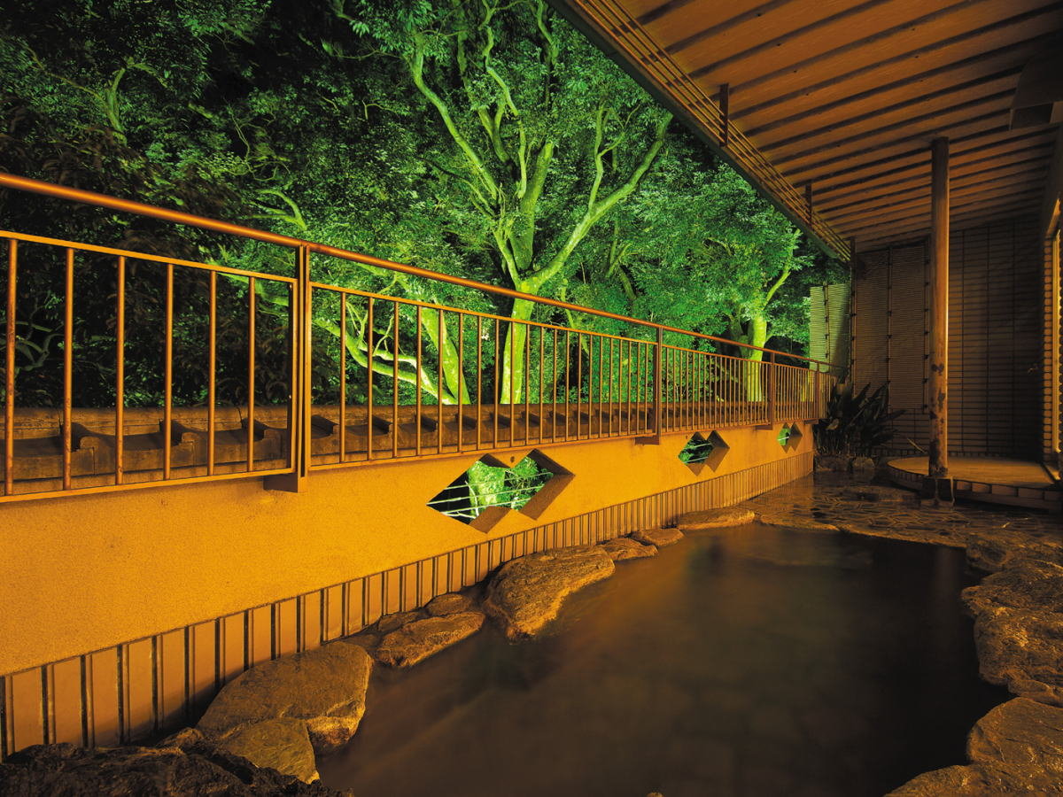 ���؂ɏƖ����������i�͌��z�I�ŐS���������܂�܂��u��I�V���C�v���؂ɏƖ����������i�͌��z�I��