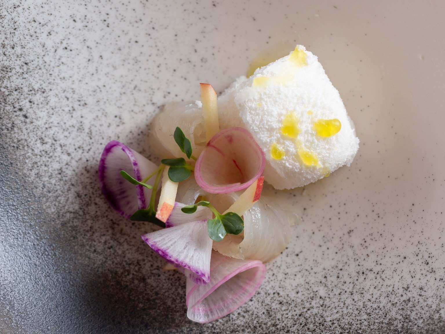 �R�[�X�f�B�i�[