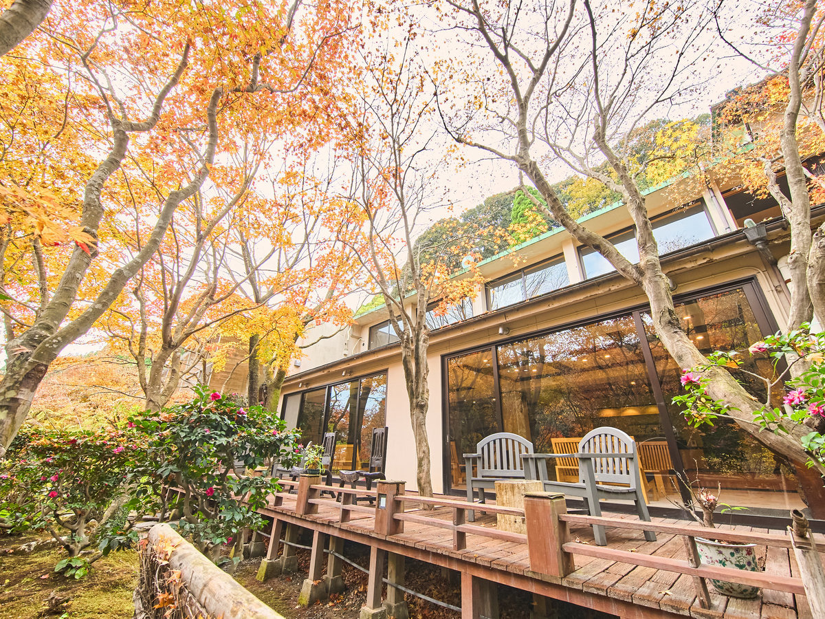 �y�E�b�h�f�b�L�e���X�z�؁X�̂����߂����̂����炬�Ɏ����X����B����̌��������������D��������