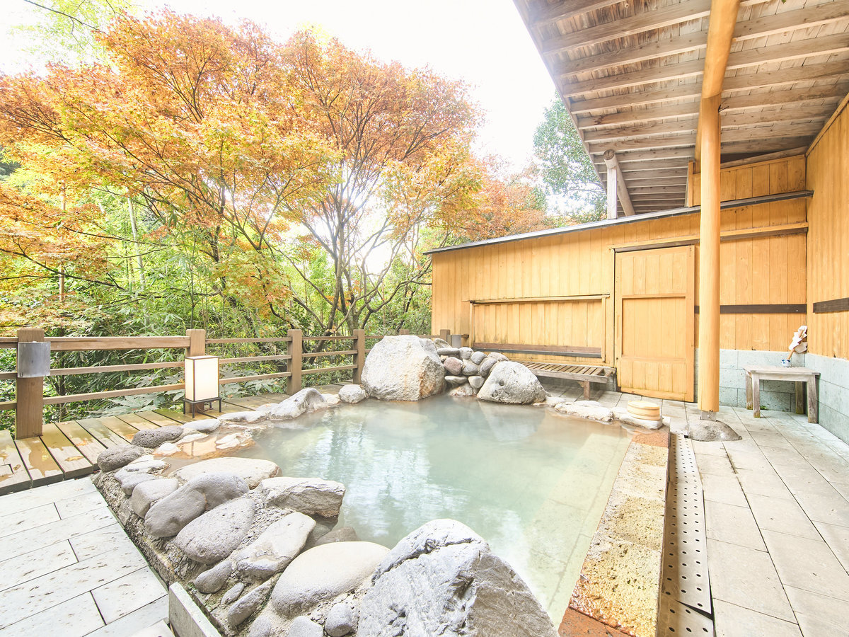 �y�嗁��z�l�G�܁X�̎��R���y���߂�I�V���C