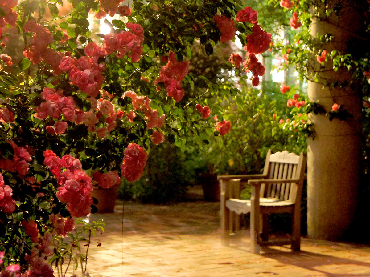 洋の花々と和の建築が調和する北門屋敷のパティオ（じゃらんnet掲載画像）