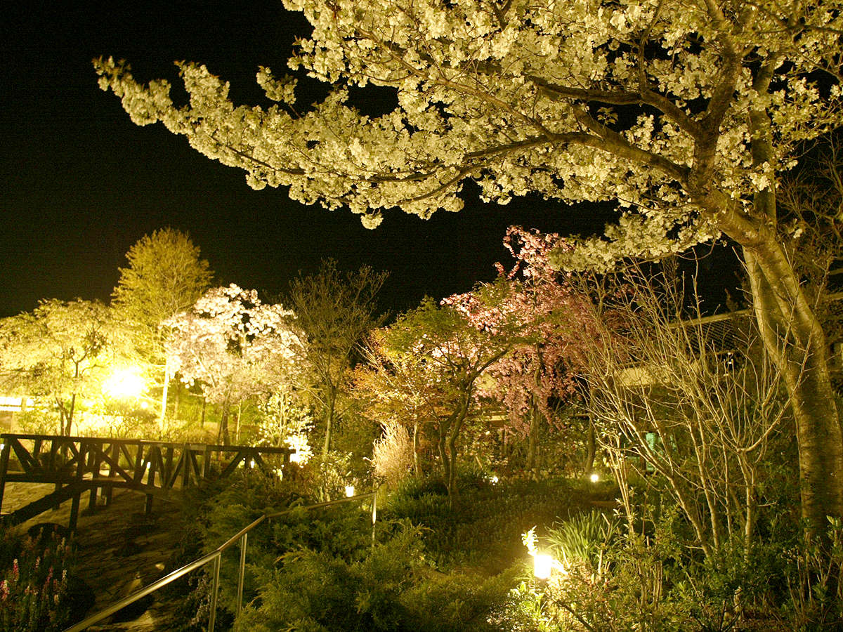夜桜とライトアップを楽しめる北門屋敷の庭園（じゃらんnet掲載画像）
