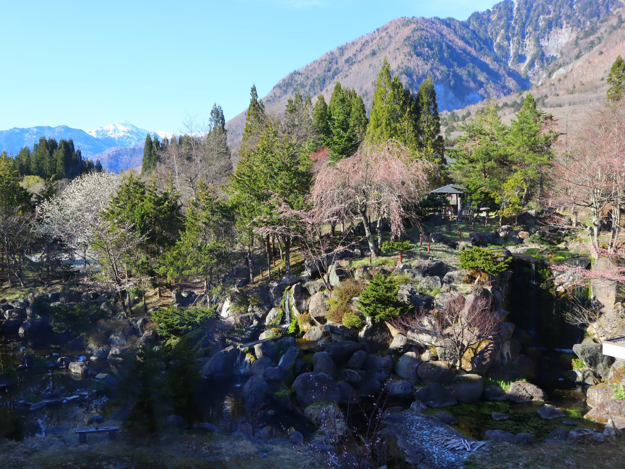 �y�q���F�뉀���f���b�N�X�a�m���z�}���x�𐳖ʂɖ]�ށA����˂̎l�G�ɕ�܂ꂽ�a�m���B