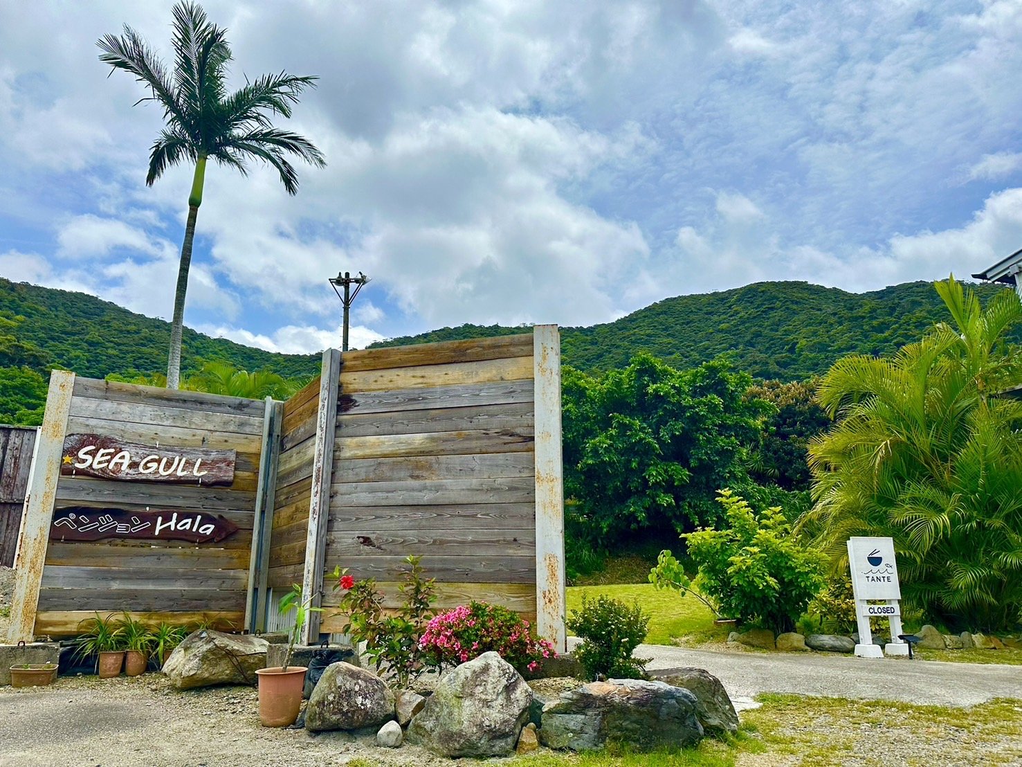 �y���V�����@���X�g�����@����