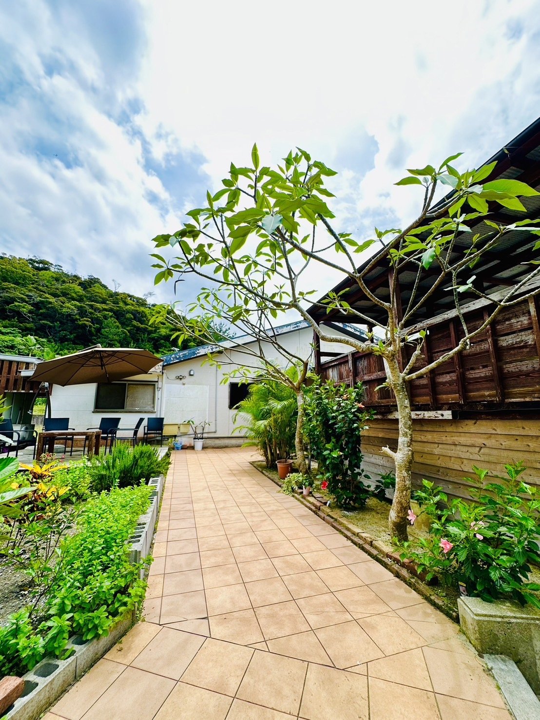 �y���V��������