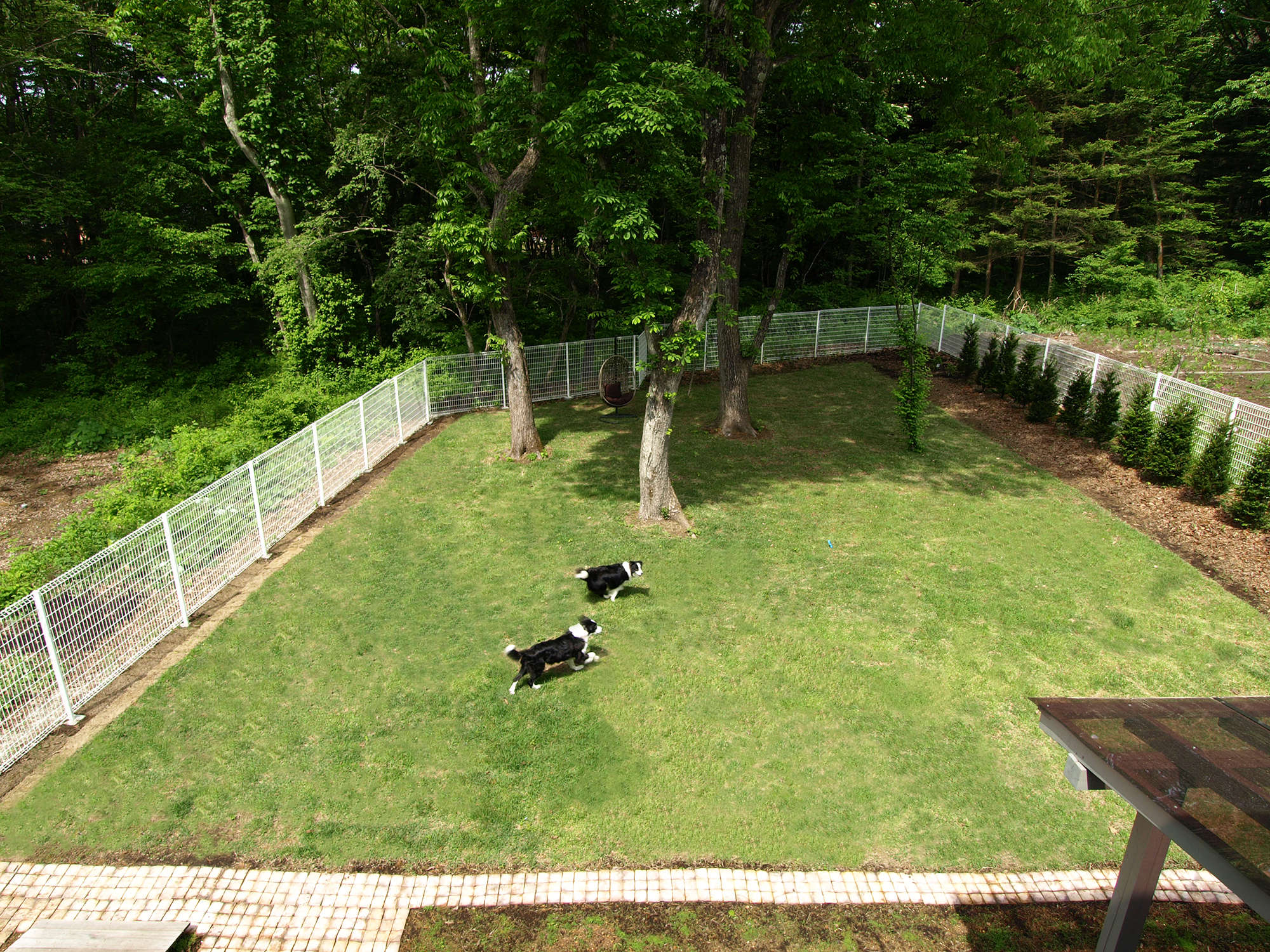 Ő̃hbOŃƈꏏɊy߂܂I