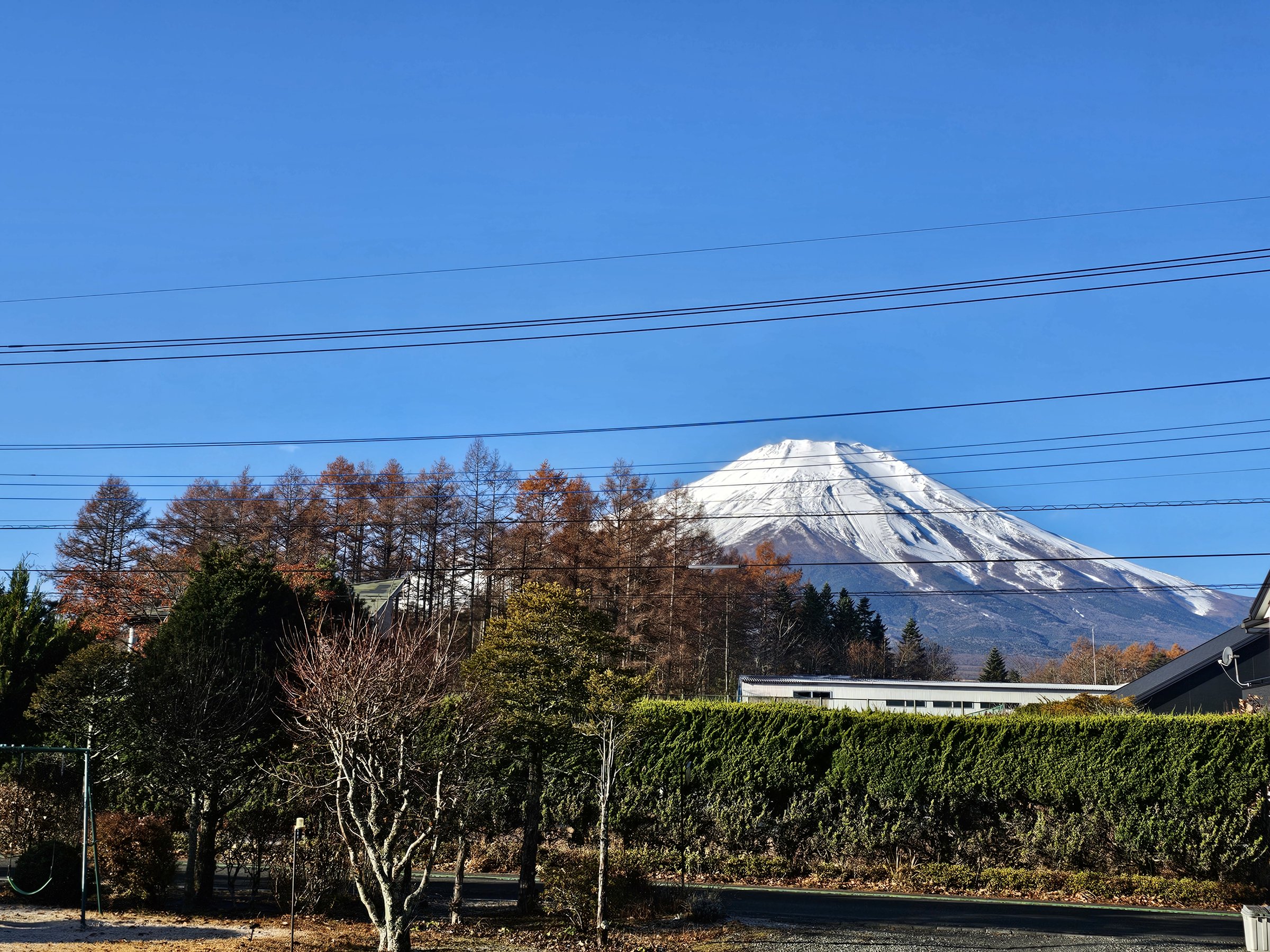 �ڂ̑O�ɂ͕x�m�R����