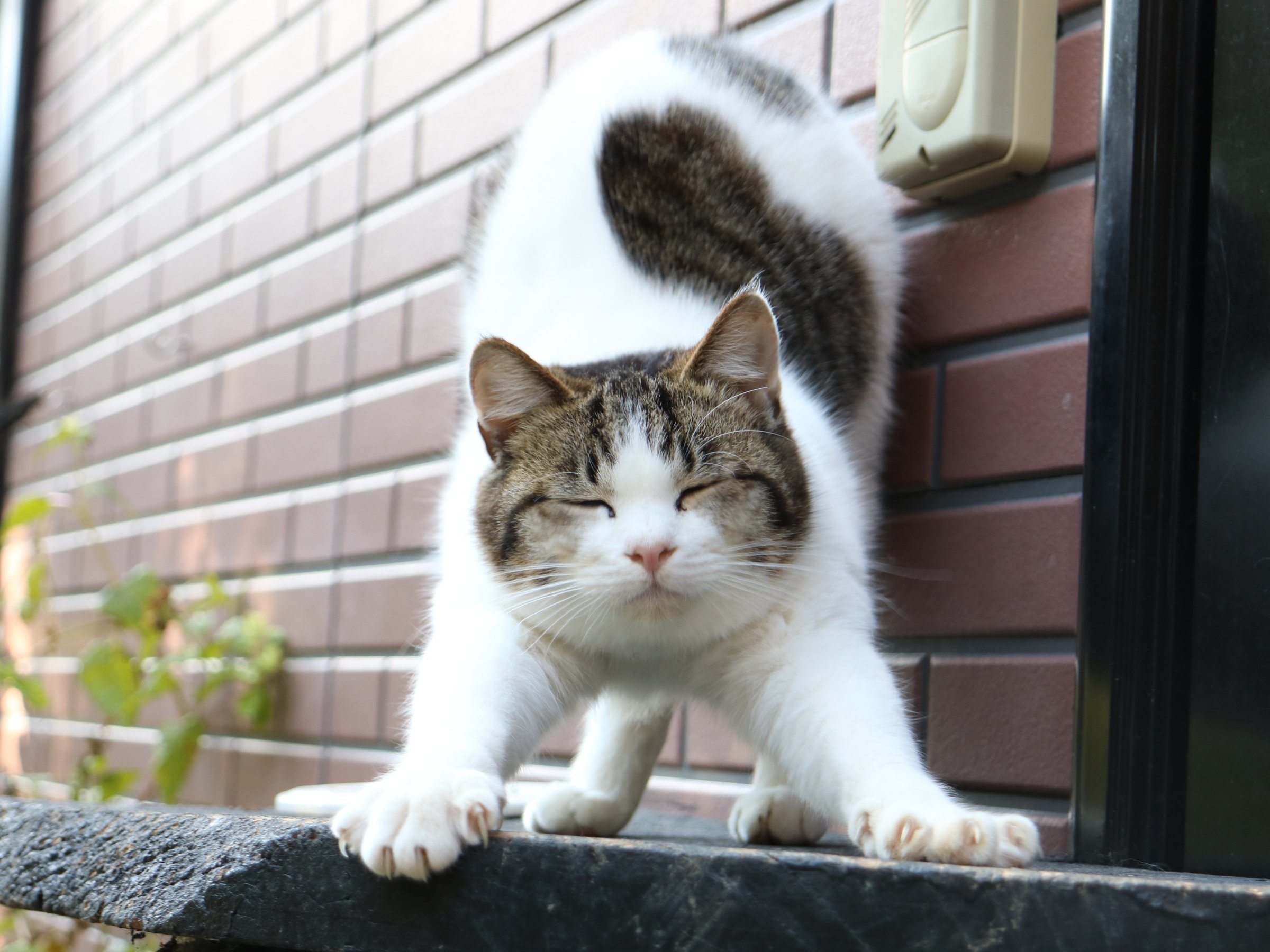 AF[̊ŔLuuvBO̗R͔wɂun[g͗lvI