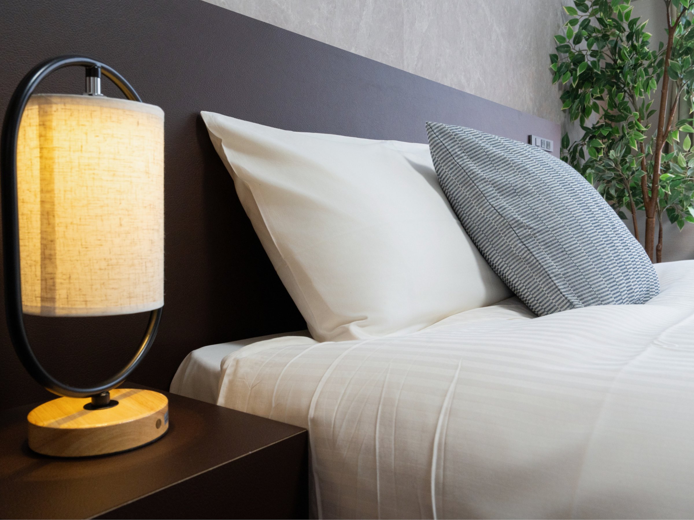 2025�N11�����j���[�A����